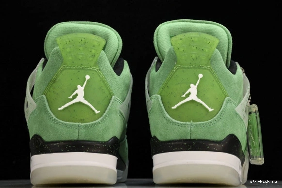 AJ4-904284 4 PE  Air Oregon Duck  Jordan Green AJ4-904284 1114